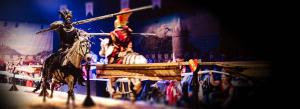 corporate-entertainment-dinner-show-germany-knights-jousting